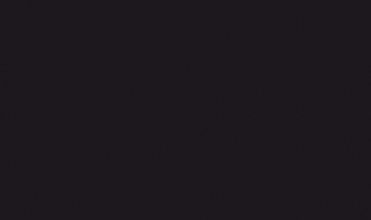 Black Hole (solid black)