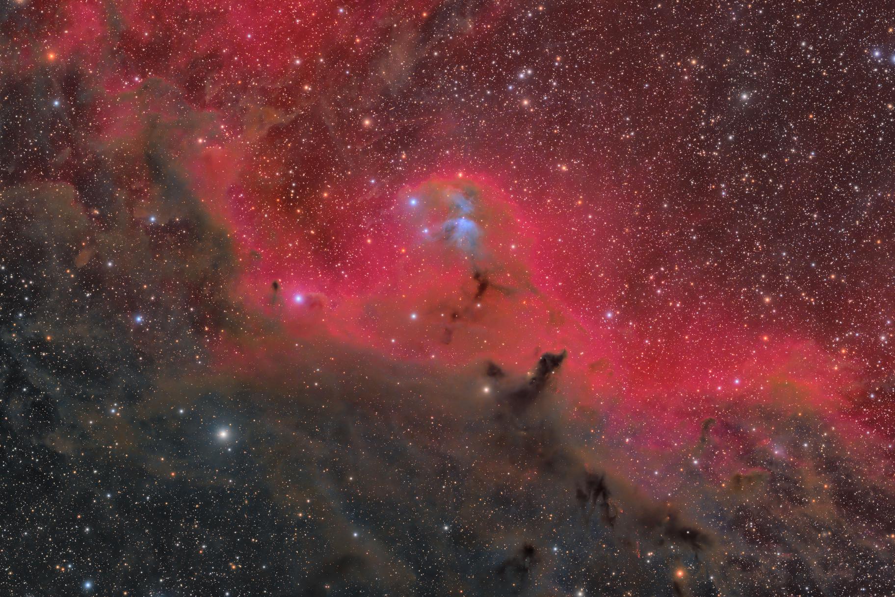 Pristine Bortle 1 Skies at DSP Remote