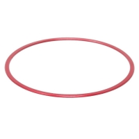 PrimaLuceLab M48 Spacer 0.5mm