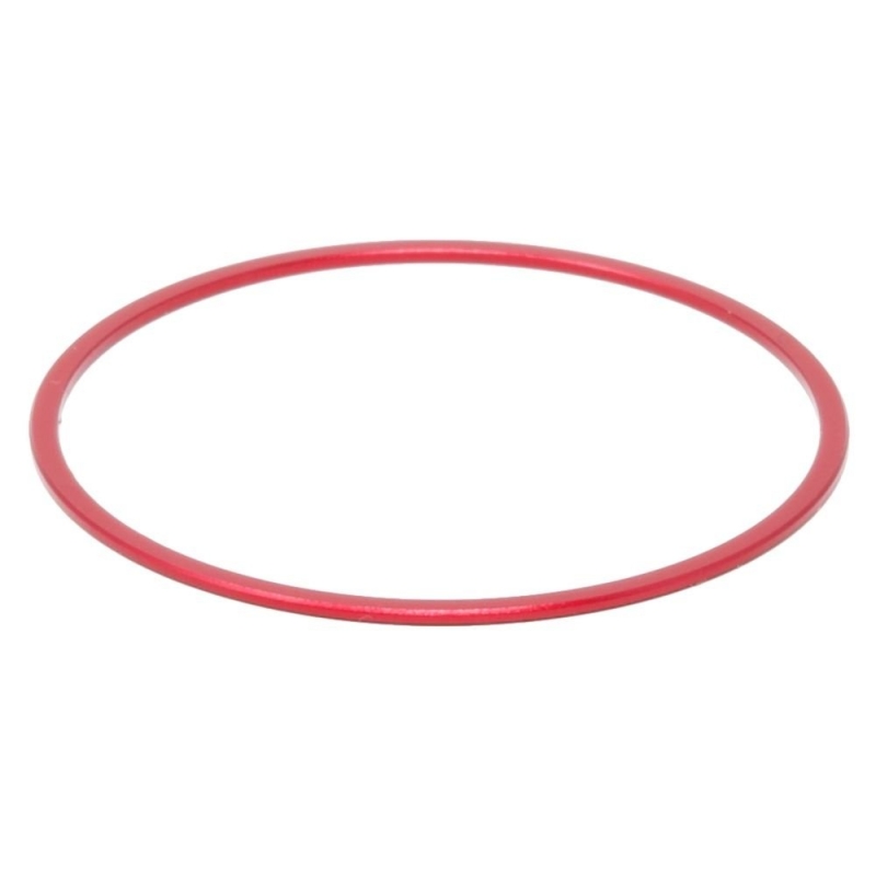 PrimaLuceLab M48 Spacer 1mm PrimaLuceLab M48 Spacer 1mm